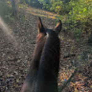 Meet your Posher, Shelby